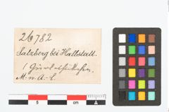 Etikett zu Bronzegürtelhaken (NHMW-PRAE-026782)